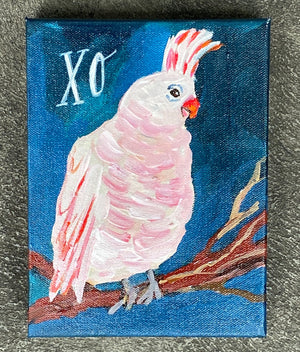 XO Pink Parakeet by Mindy Carpenter