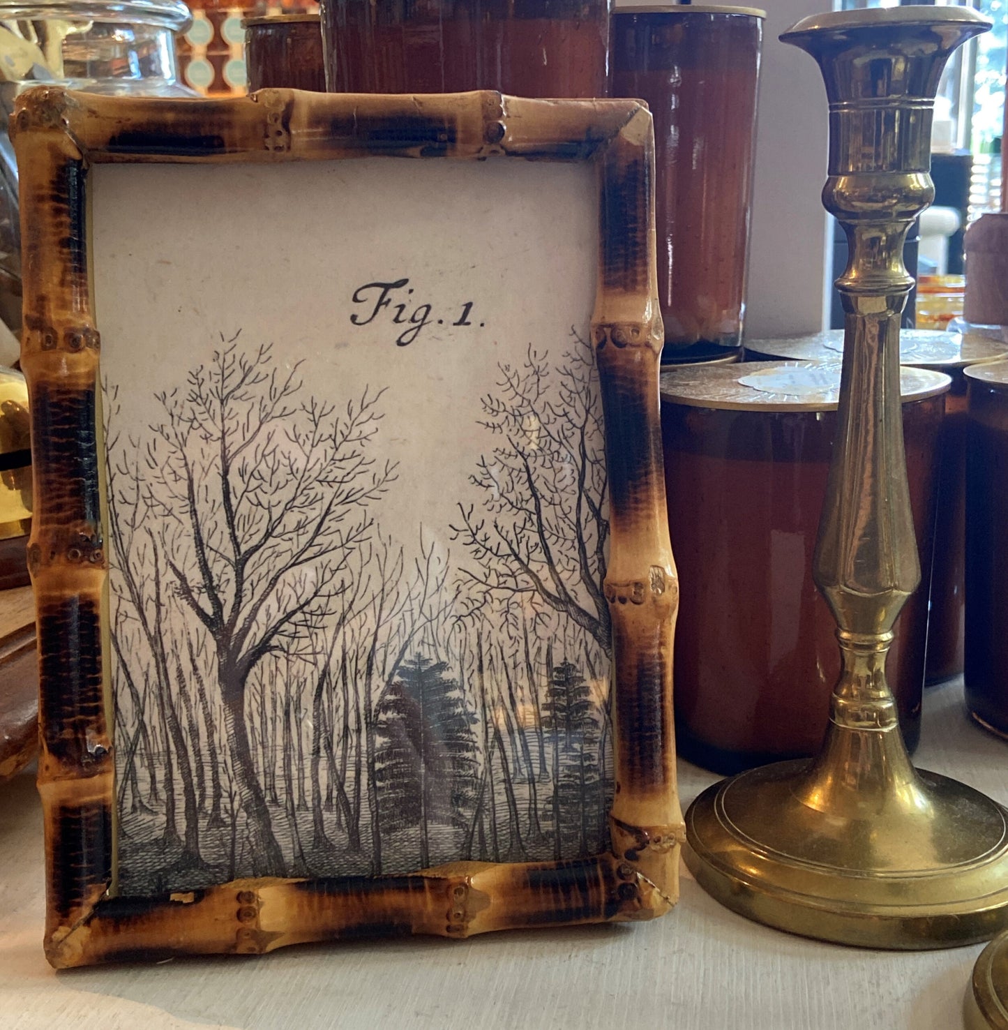 Short Knot Bamboo Large Frame