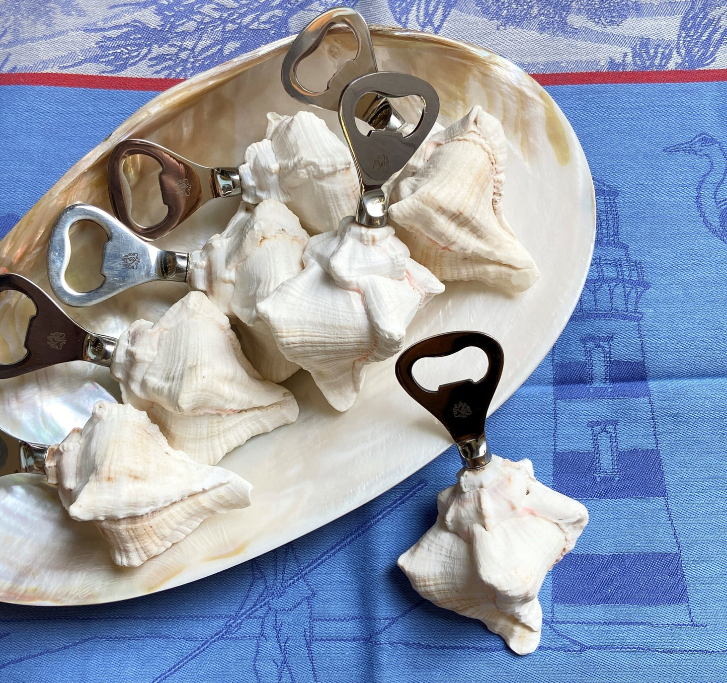 Shell Bottle Opener