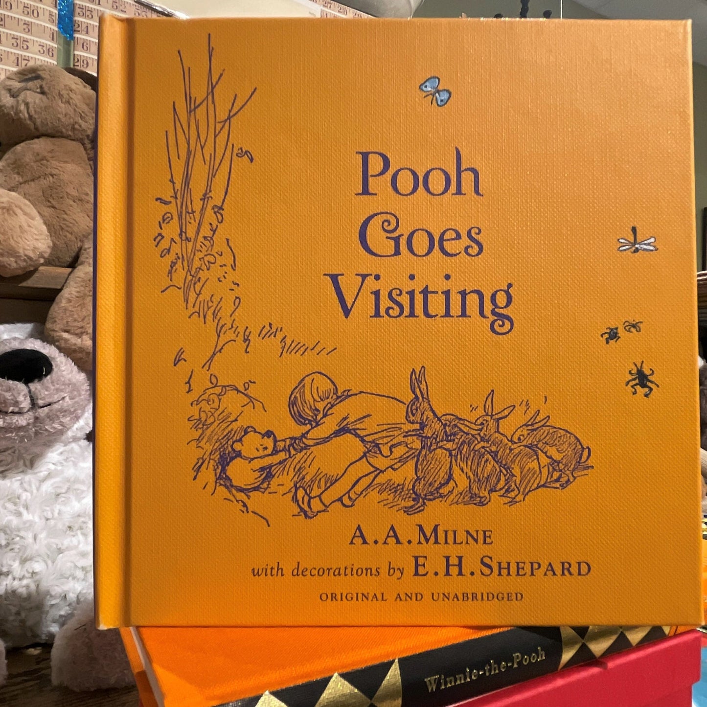 Pooh Goes Visiting