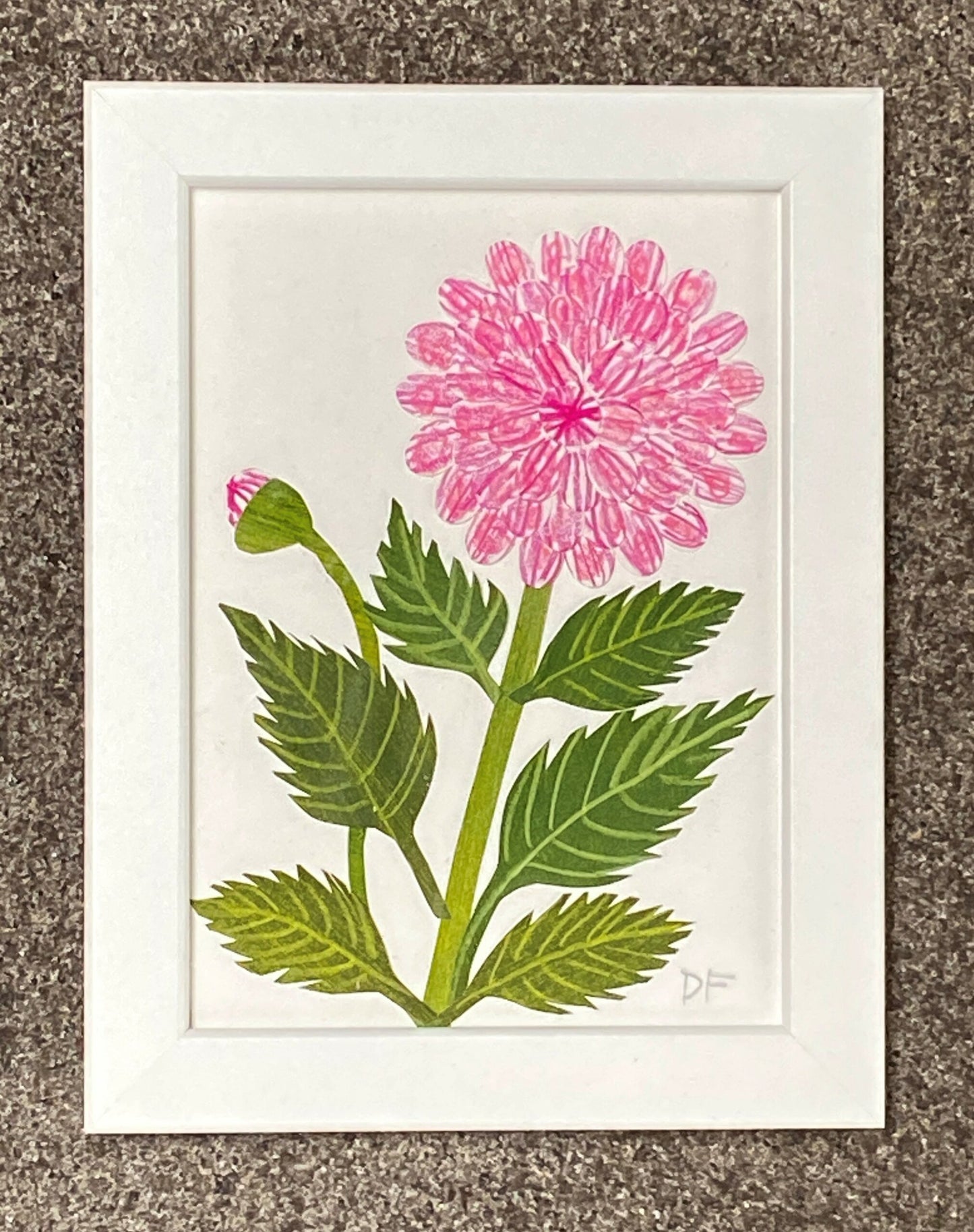 Pink Dahlia by Denise Fiedler