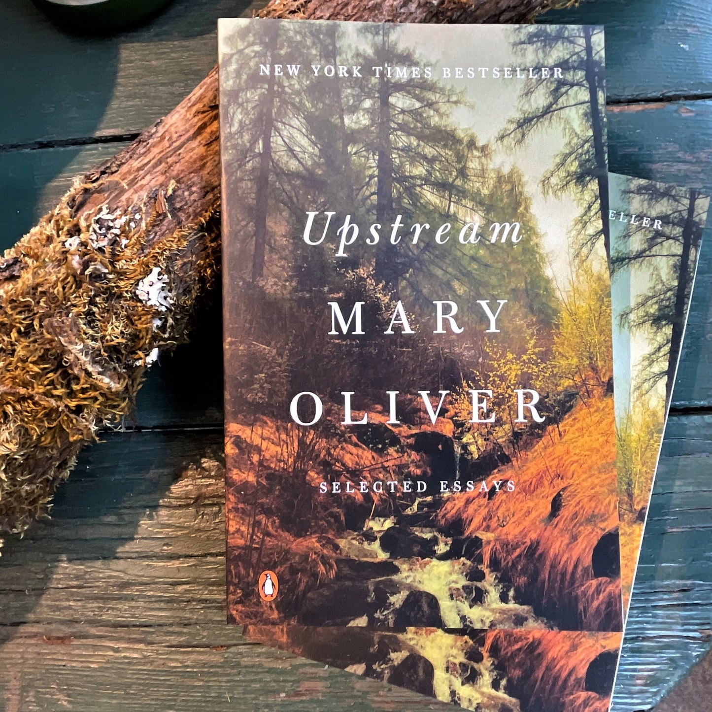 Upstream by Mary Oliver
