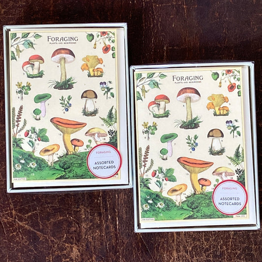Foraging Notecards Set
