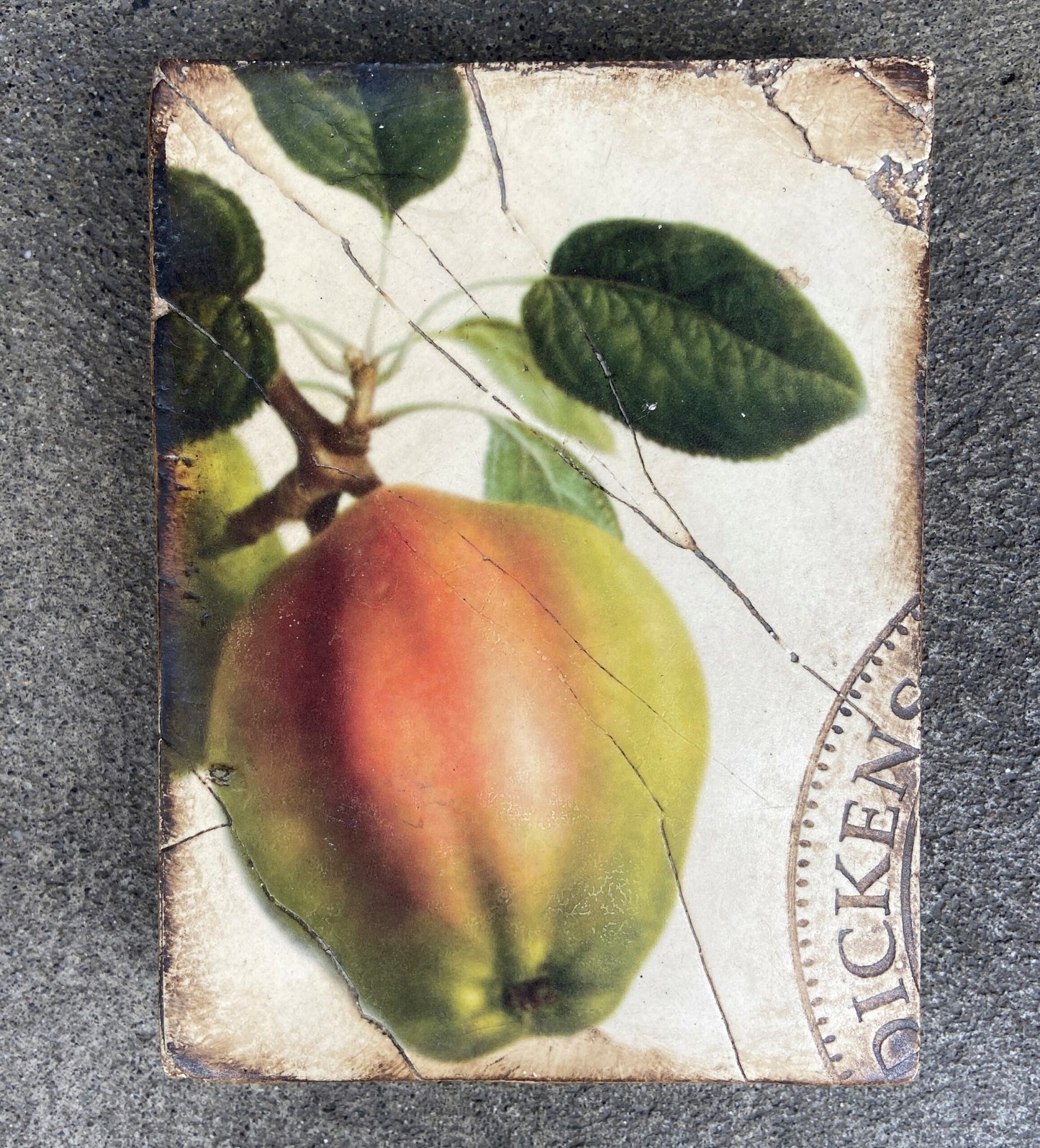 Aphrodite's Apple, Retired