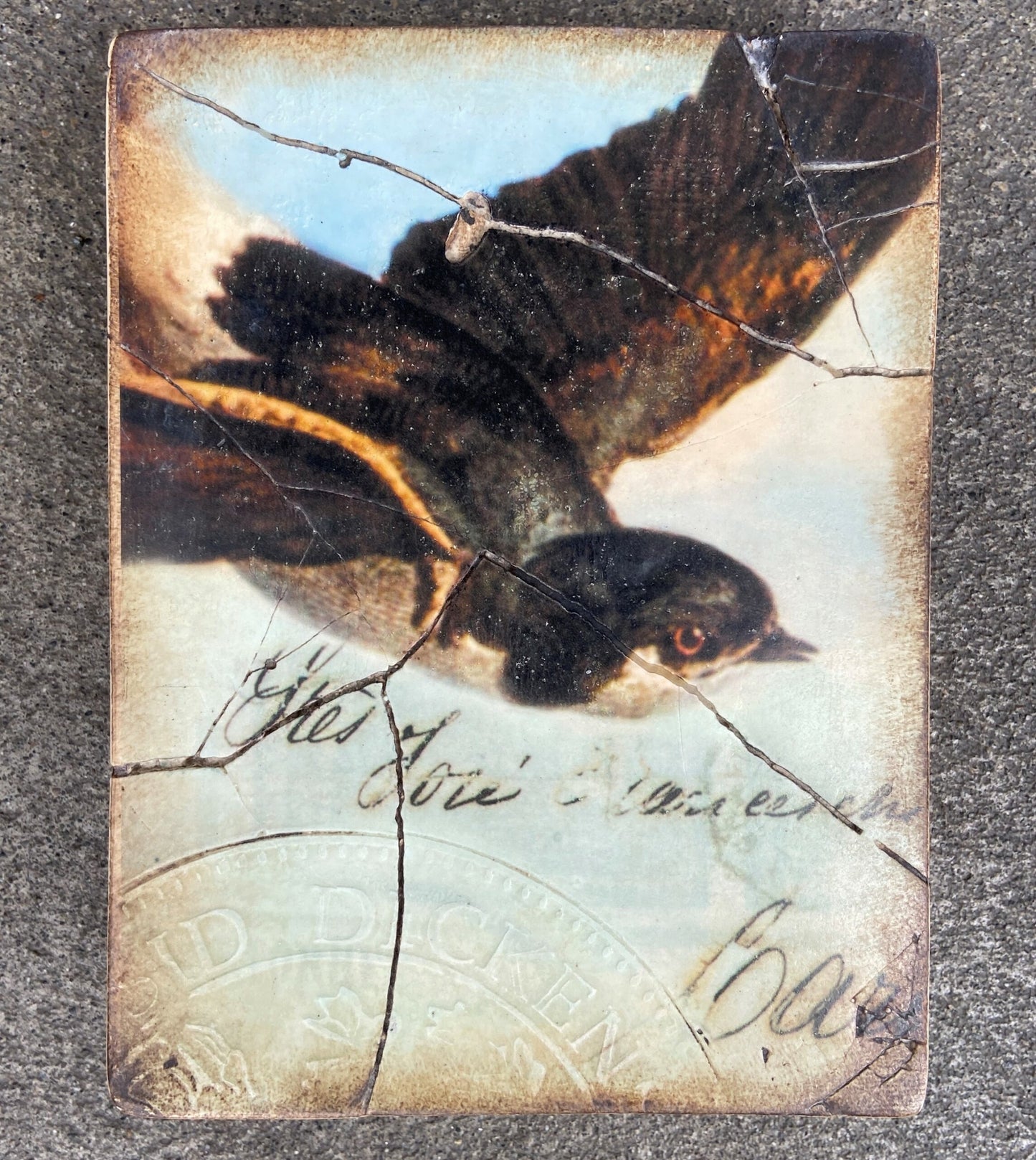 Bird in Flight, Retired