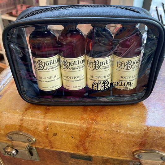 Lavender Peppermint Travel Set