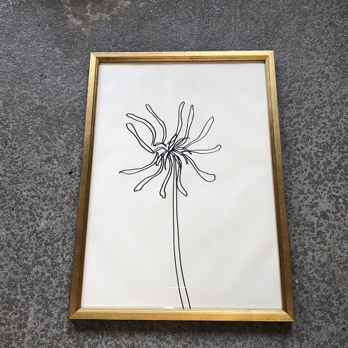 Flower A #3 by Hugo Guinness