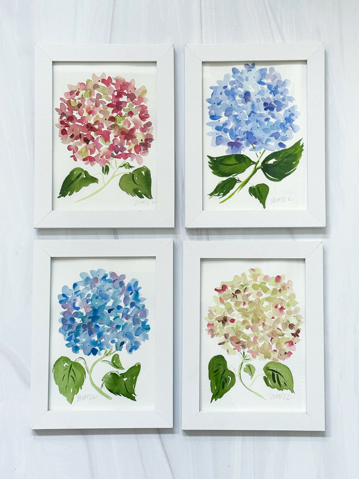 Pink Hydrangea No. 01