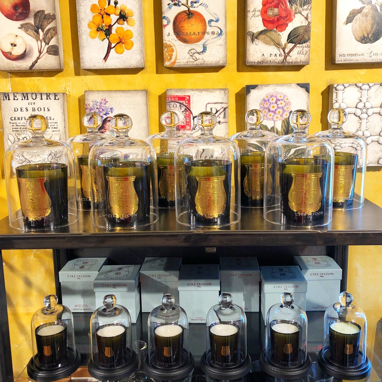 Trudon Ernesto Candle