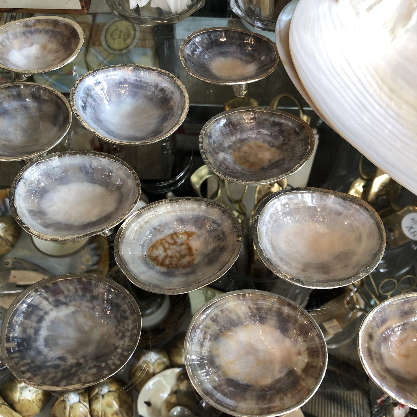 Silver Limpet Salt Cellar