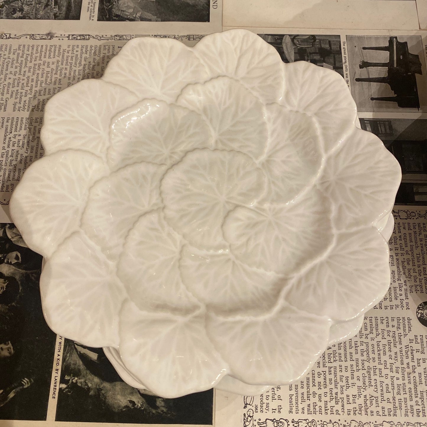 White Geranium Dessert Plate