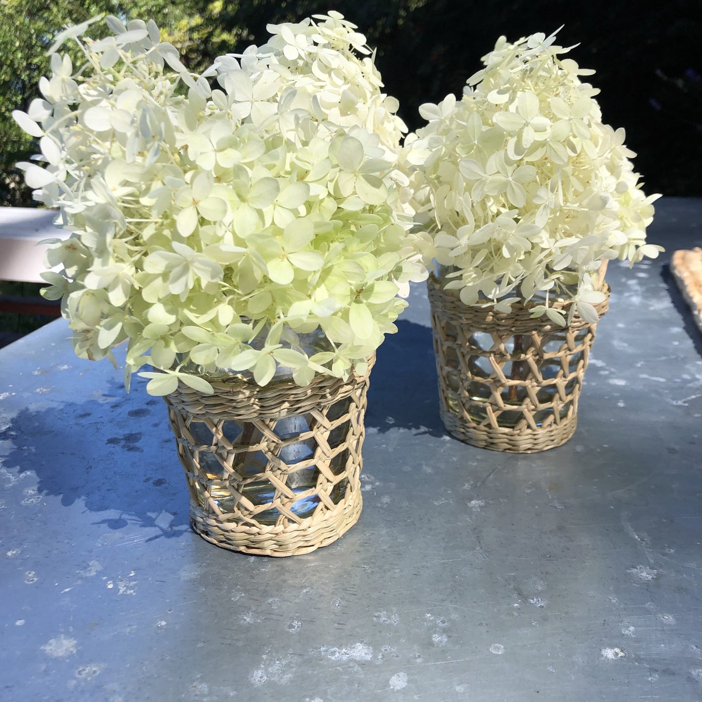 Seagrass Cage Wide Tumbler