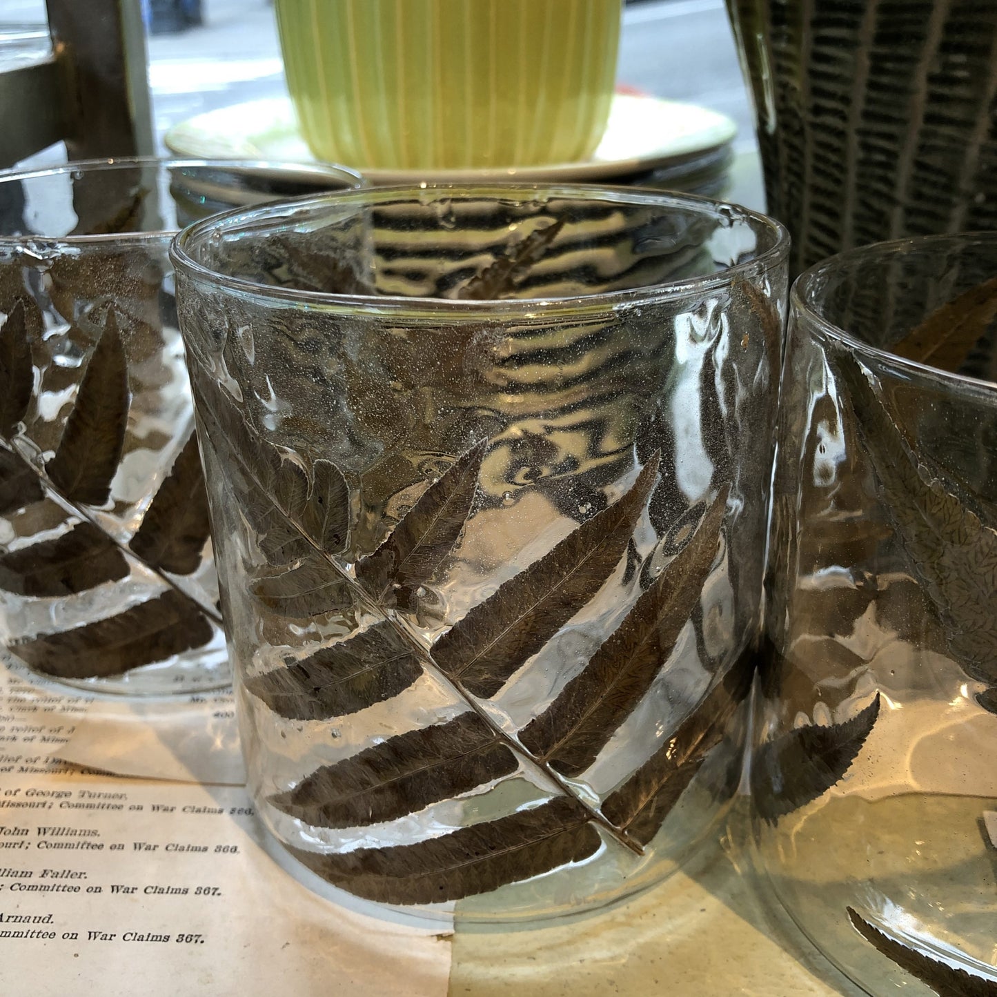 Medium Fern Hurricane