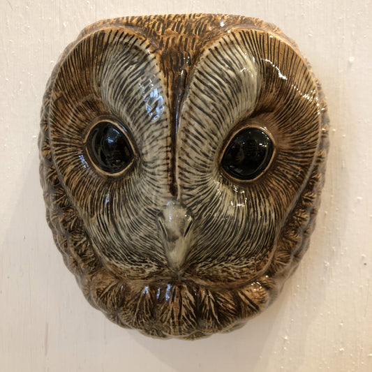 Tawny Owl Wall Vase