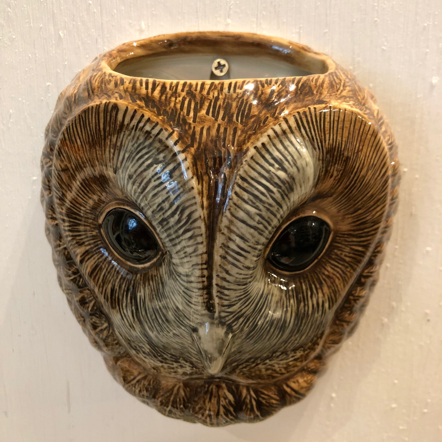 Tawny Owl Wall Vase