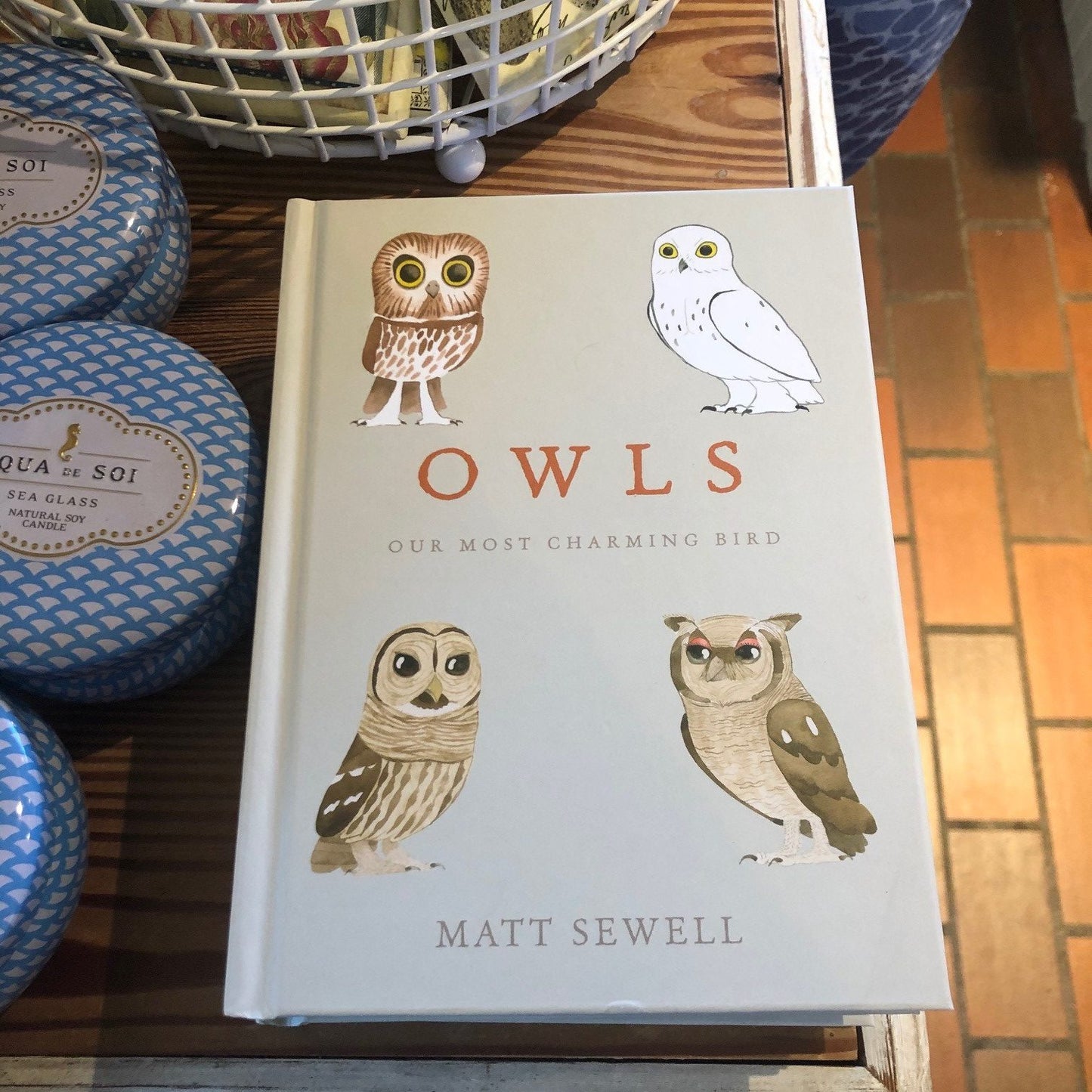 Owls: Our Most Charming Bird