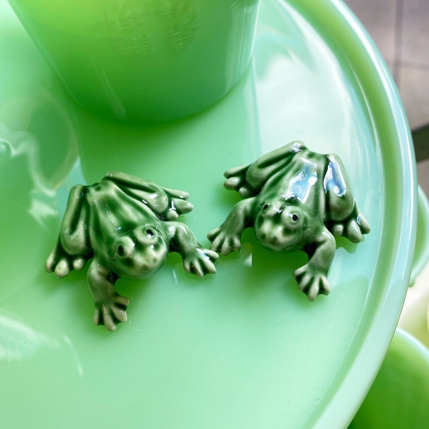 Smallest Frog