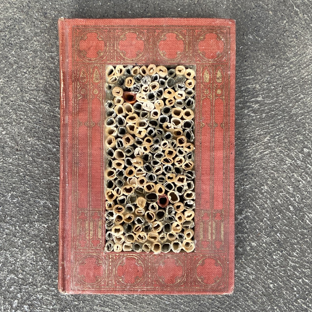 Center Book Rolls by Kimber Leblicq