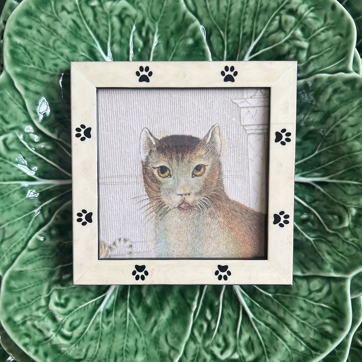Ivory Burlwood Pawprint Frame