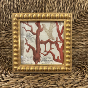 Diana Gold Frame, 4x4"