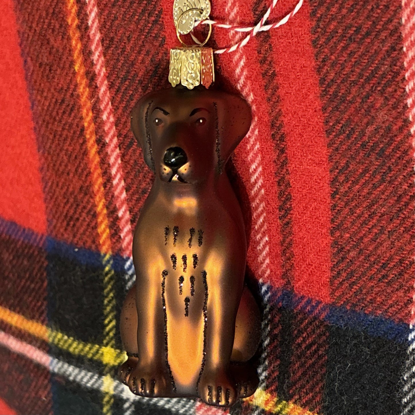 Chocolate Lab Ornament