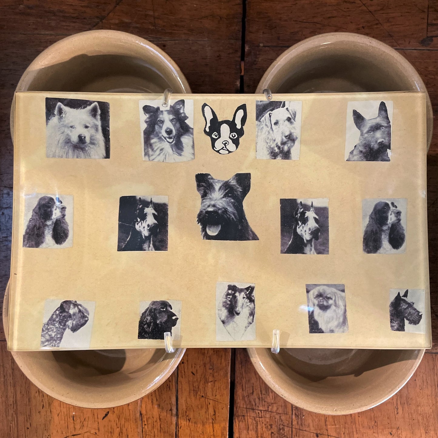 Dog Show c. 1920 (#1) Tray