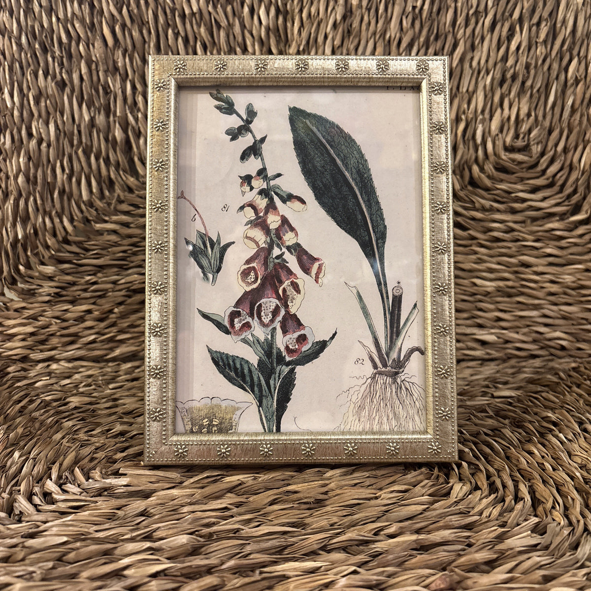 Marcelli Think Silver Daisy, 5x7"