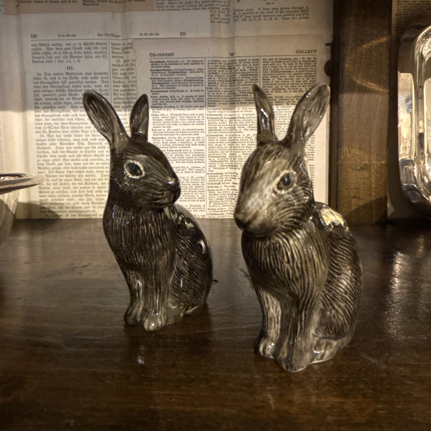Wild Rabbit Salt & Pepper Set