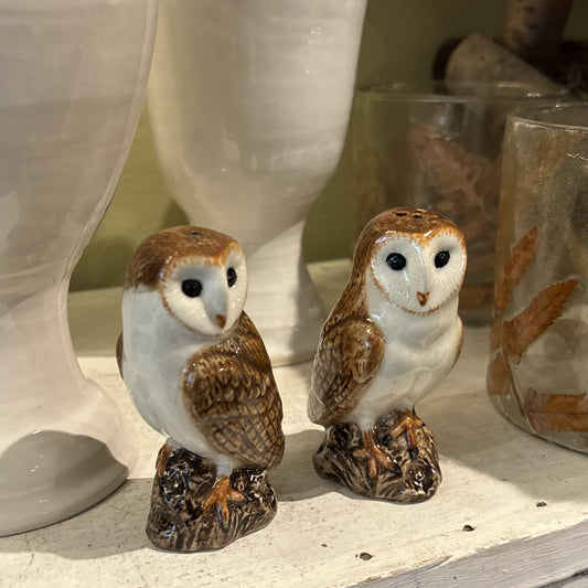 Barn Owl Salt & Pepper Set