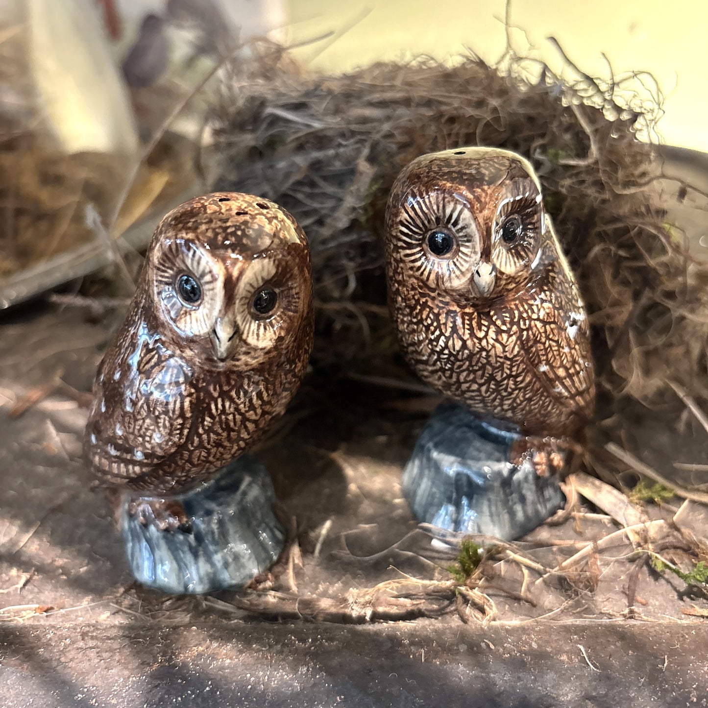 Tawny Owl Salt & Pepper Set