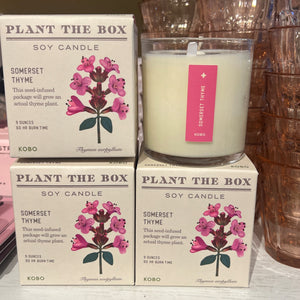 Somerset Thyme Candle