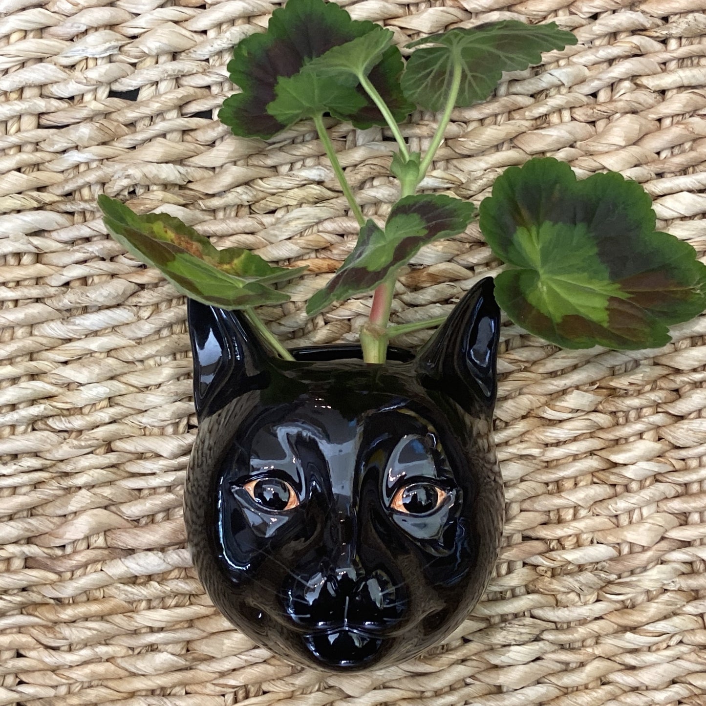 Lucky Cat Wall Vase