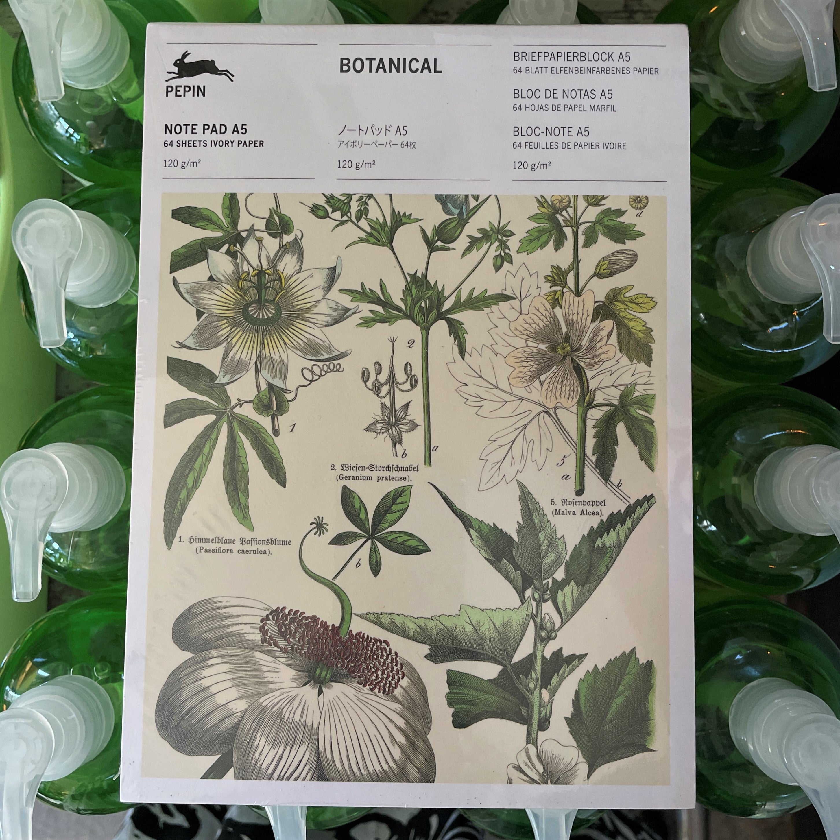 Botanical Notepad Botanical Note Pad – Watson Kennedy