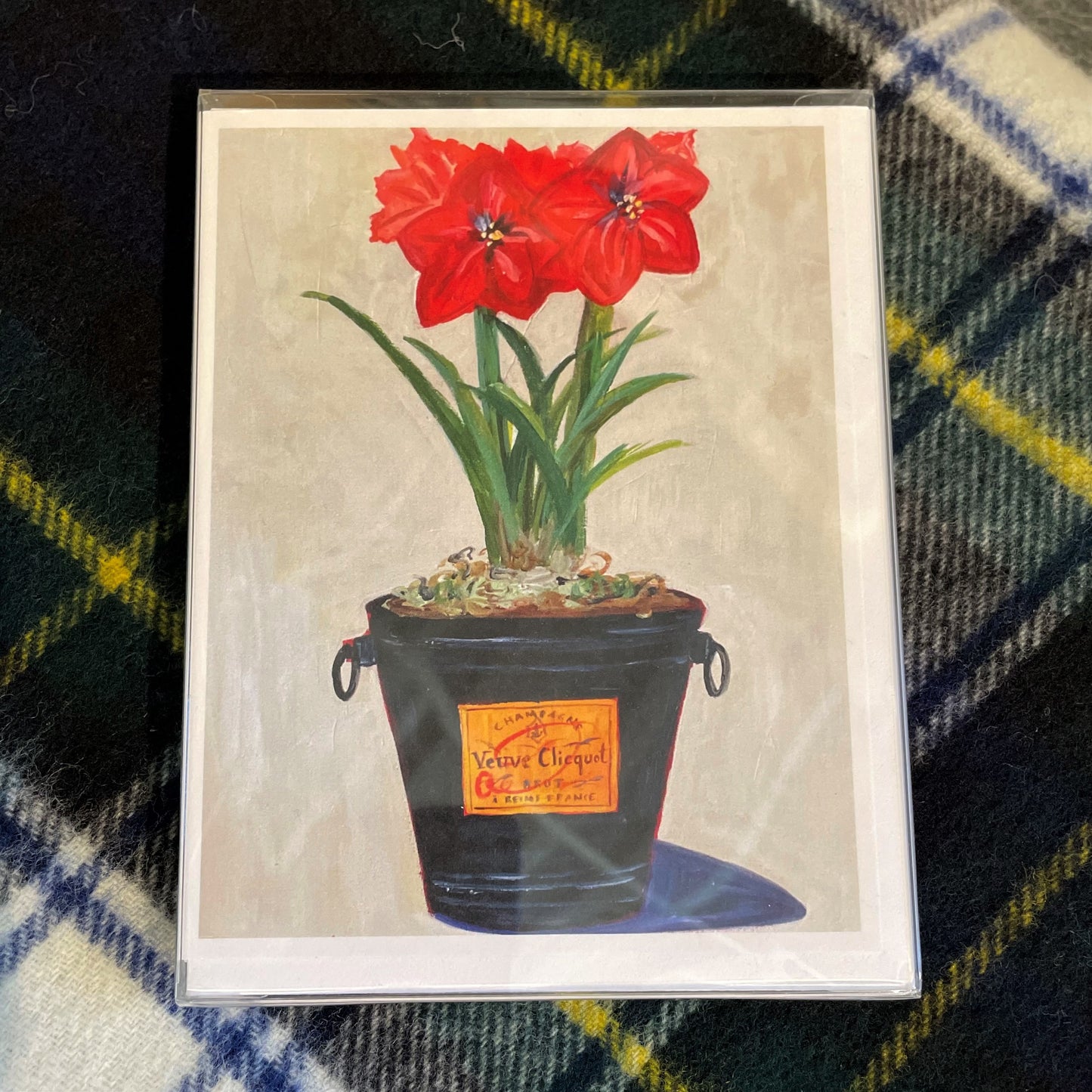 Amaryllis in Veuve Boxed Card