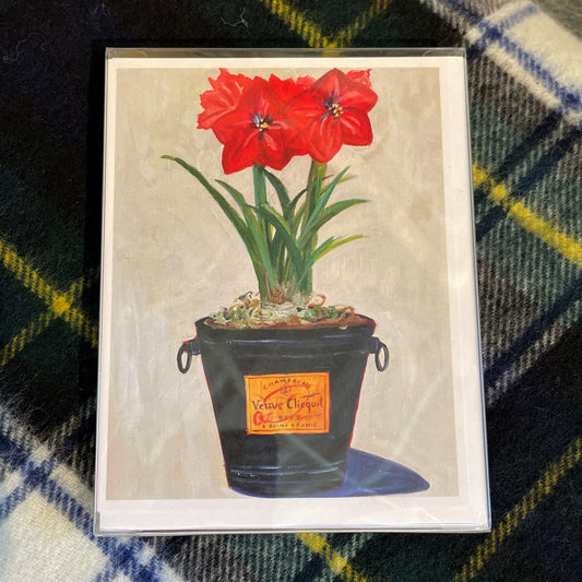 Amaryllis in Veuve Boxed Cards