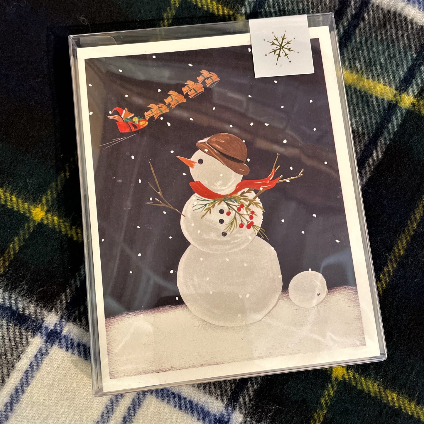 Snow Man Boxed Cards