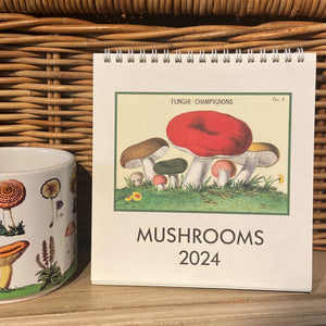 Mushroom 2024 Desk Cal