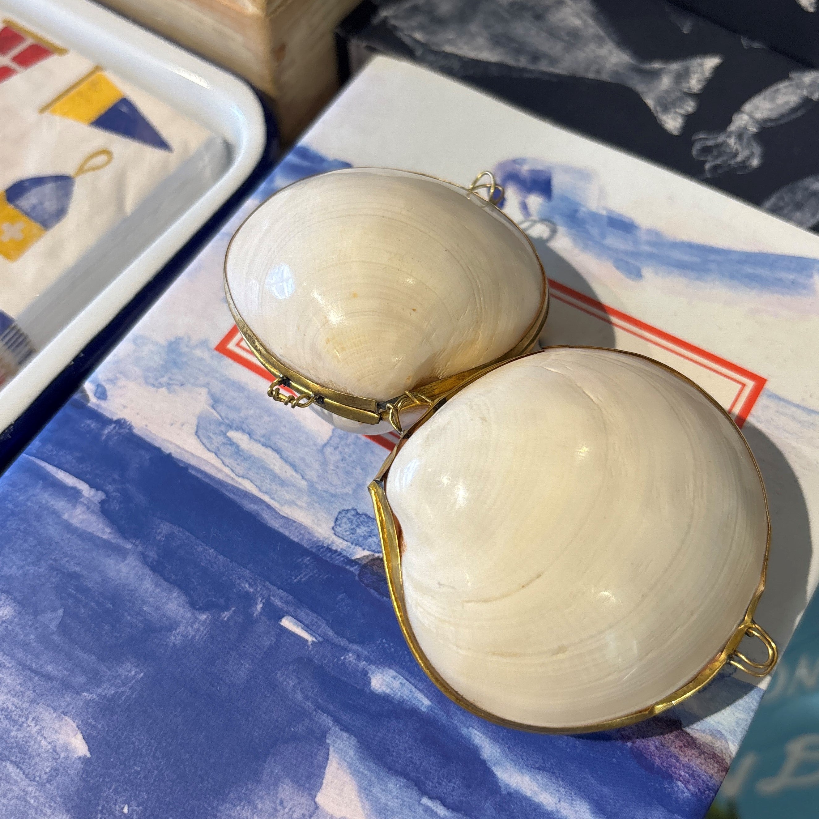 Large Shell Keep Large Shell Boxes – Watson Kennedy