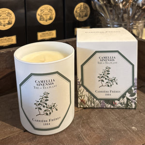 Tea Plant Candle