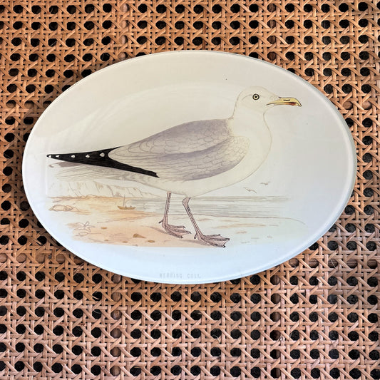 Herring Gull Oval Tray