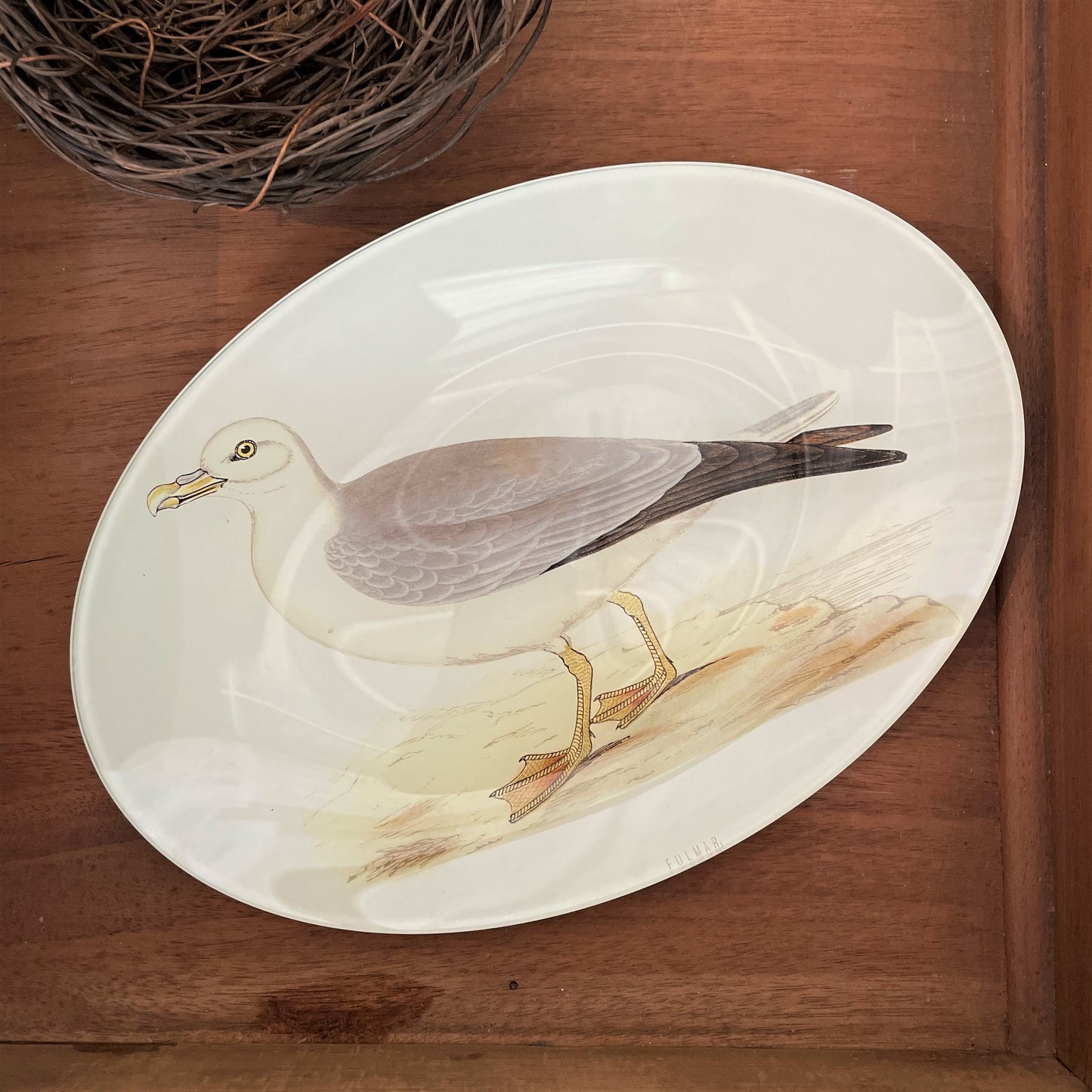 Fulmar Oval Tray