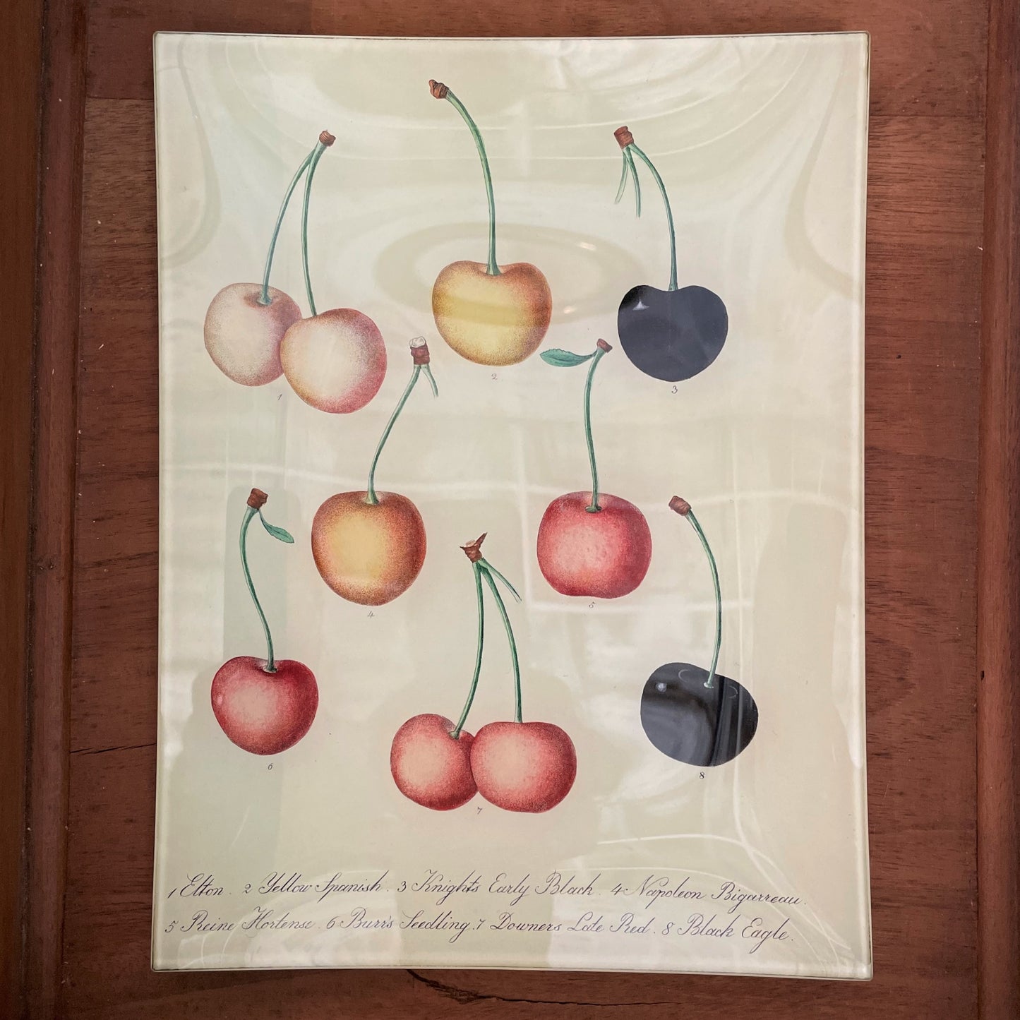 Cherry Chart Rectangular Tray