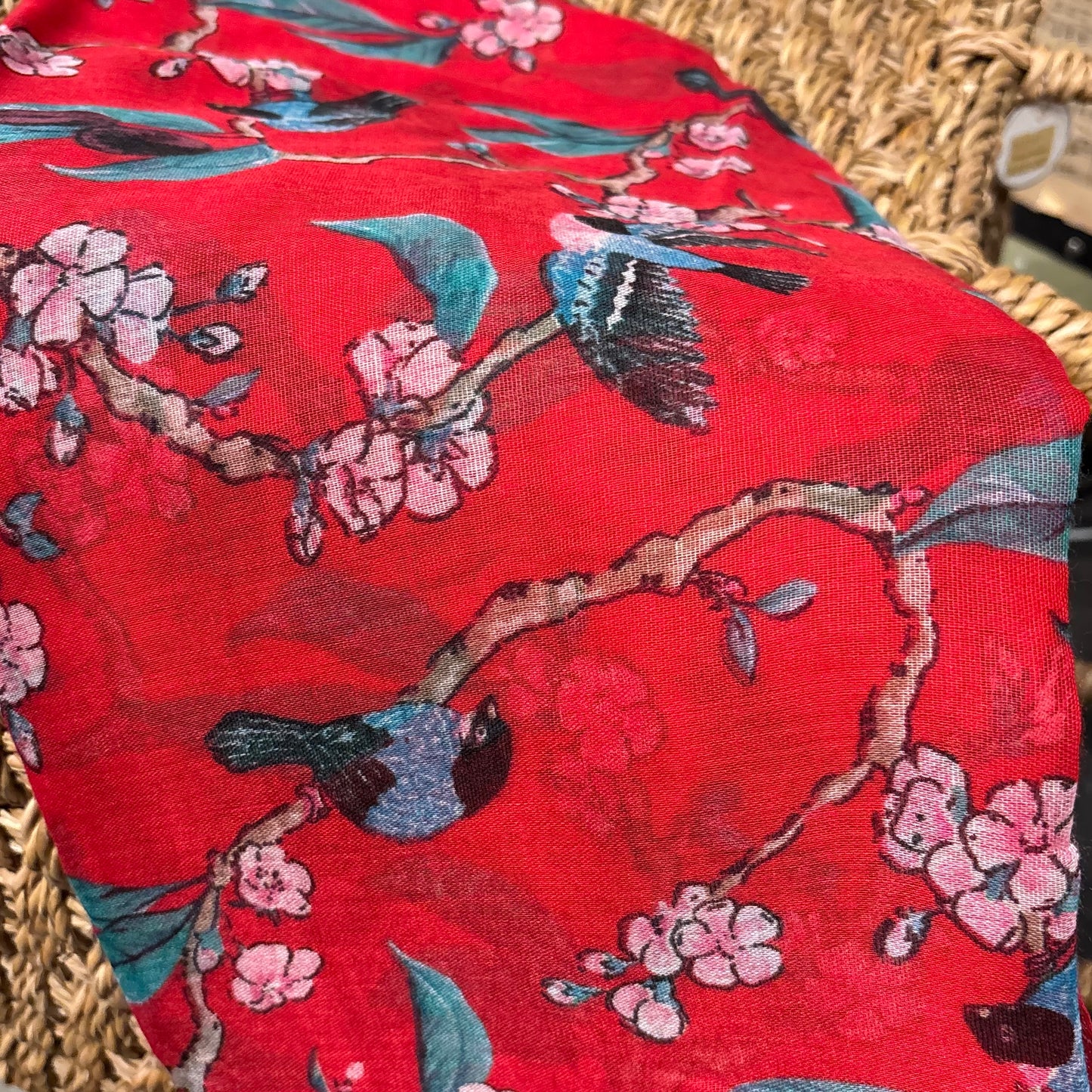 Fruit Bird Red Scarf