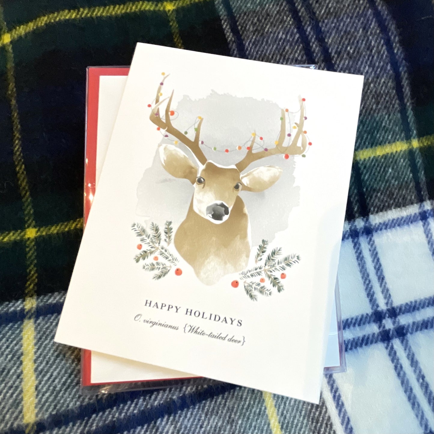 Happy Holidays Deer Boxed Cards