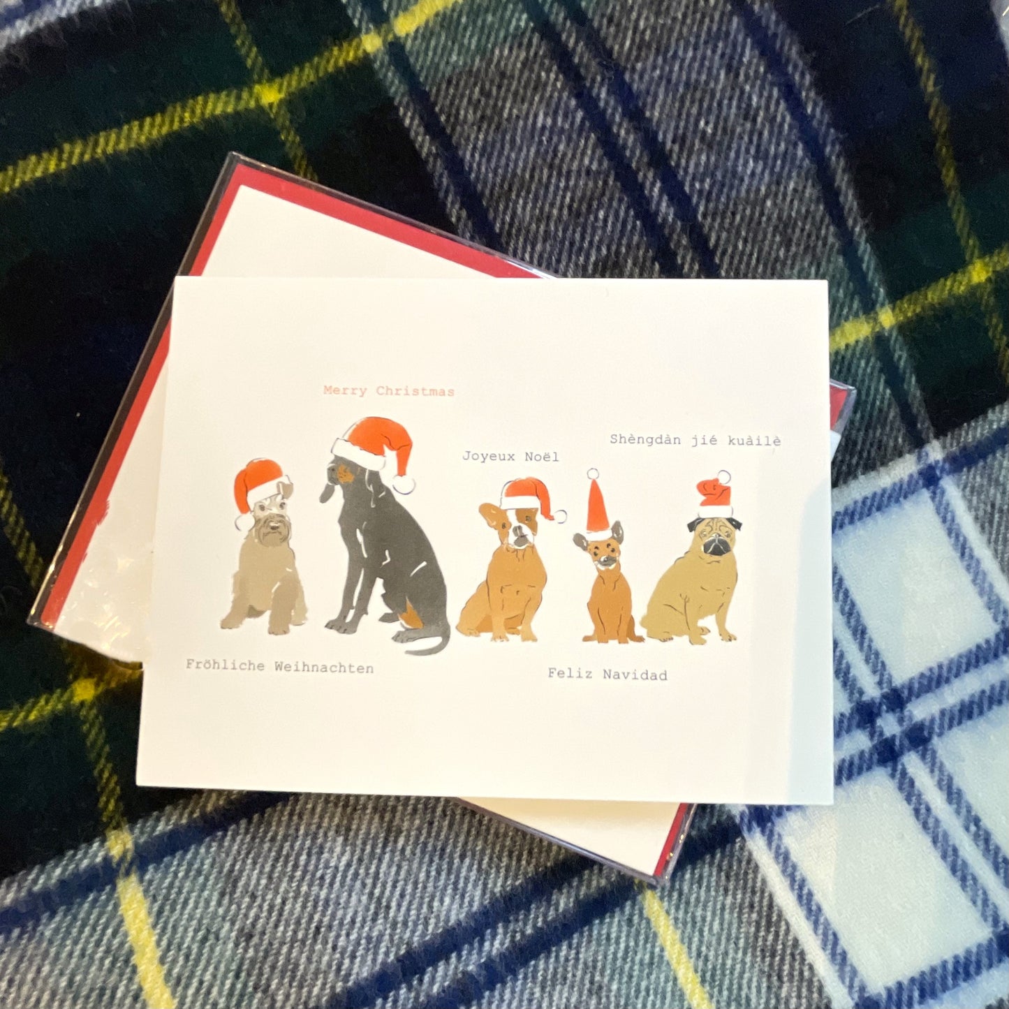 A Very Doggy Christmas Boxed Cards