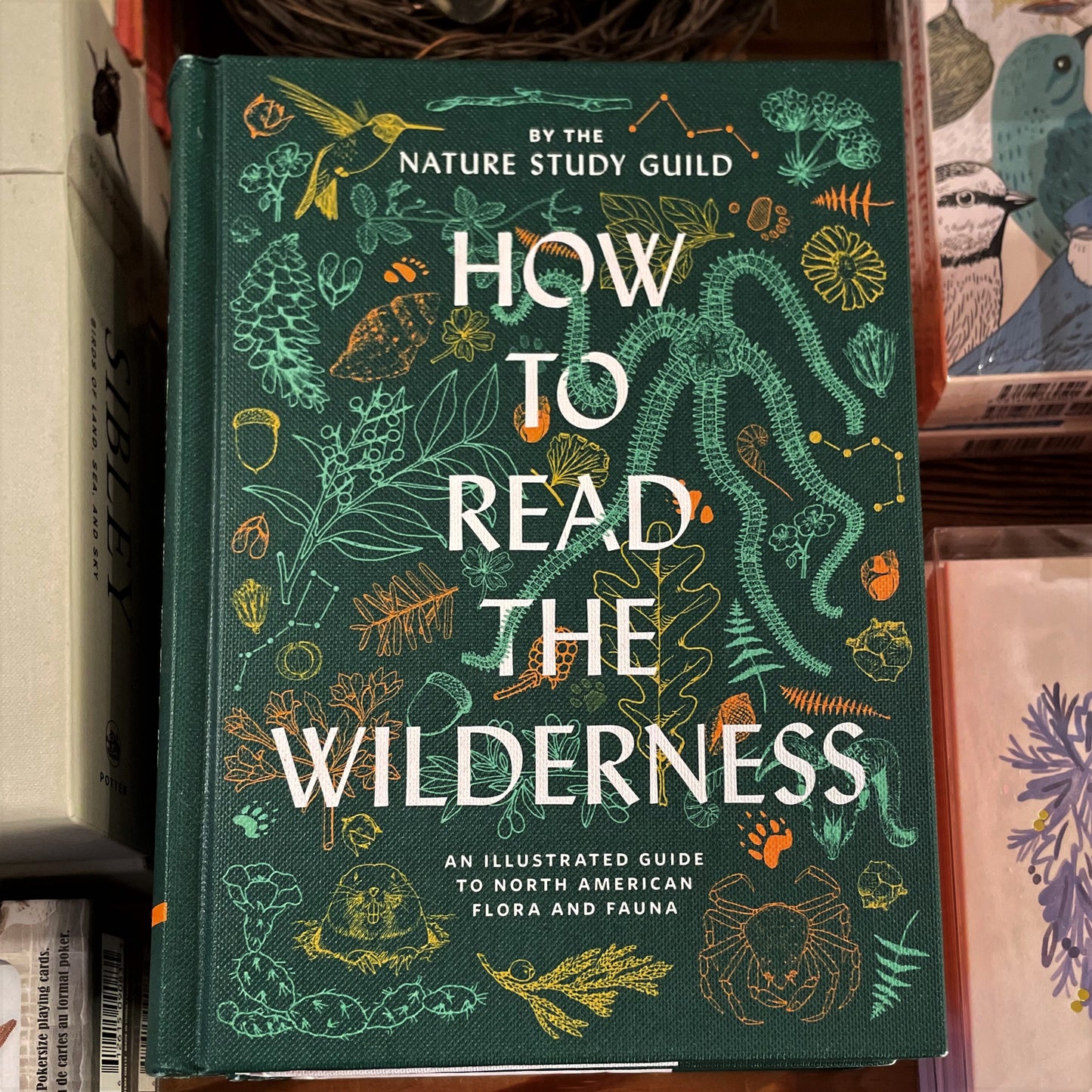 How to Read the Wildnerness