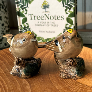 Goldcrest Bird Salt & Pepper Set