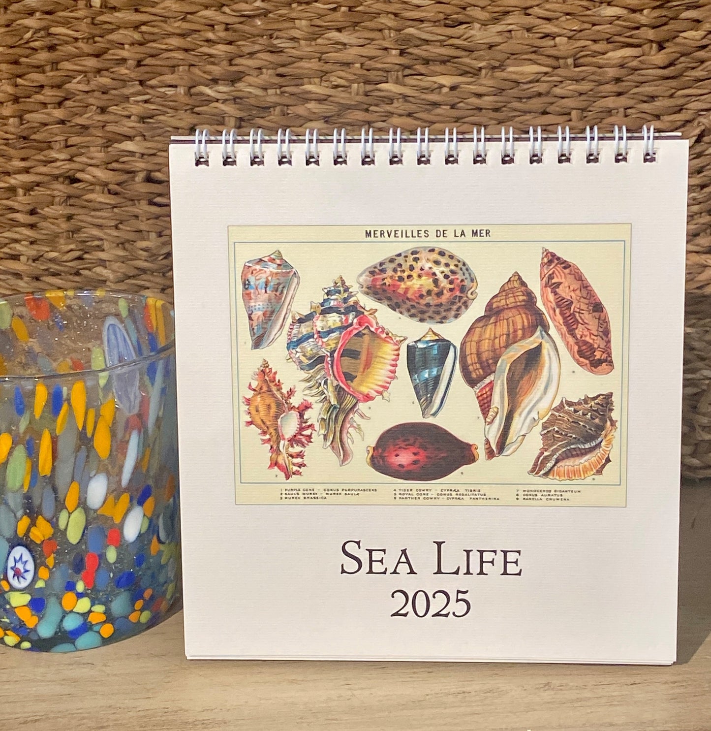 Sea Life 2025 Desk Calendar