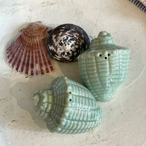 Seashell Salt & Pepper