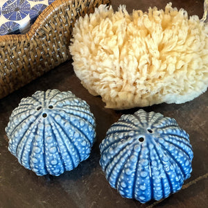 Urchin Shaped Salt & Pepper Set